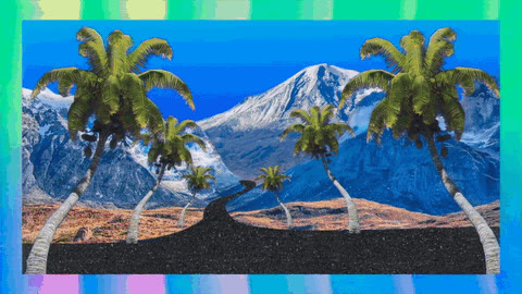 Fever Dreams, Adult Swim